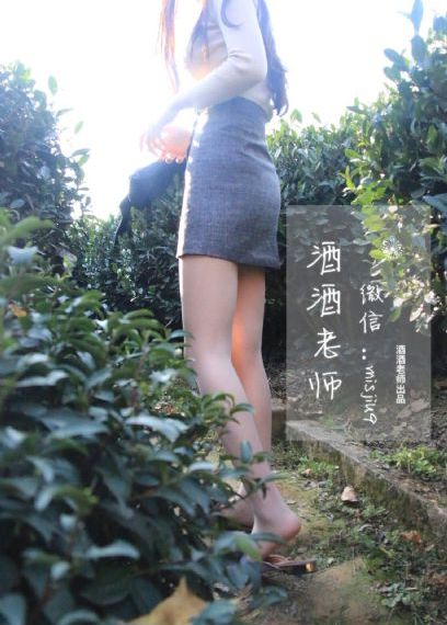 九重紫电视剧在线播放视频观看20